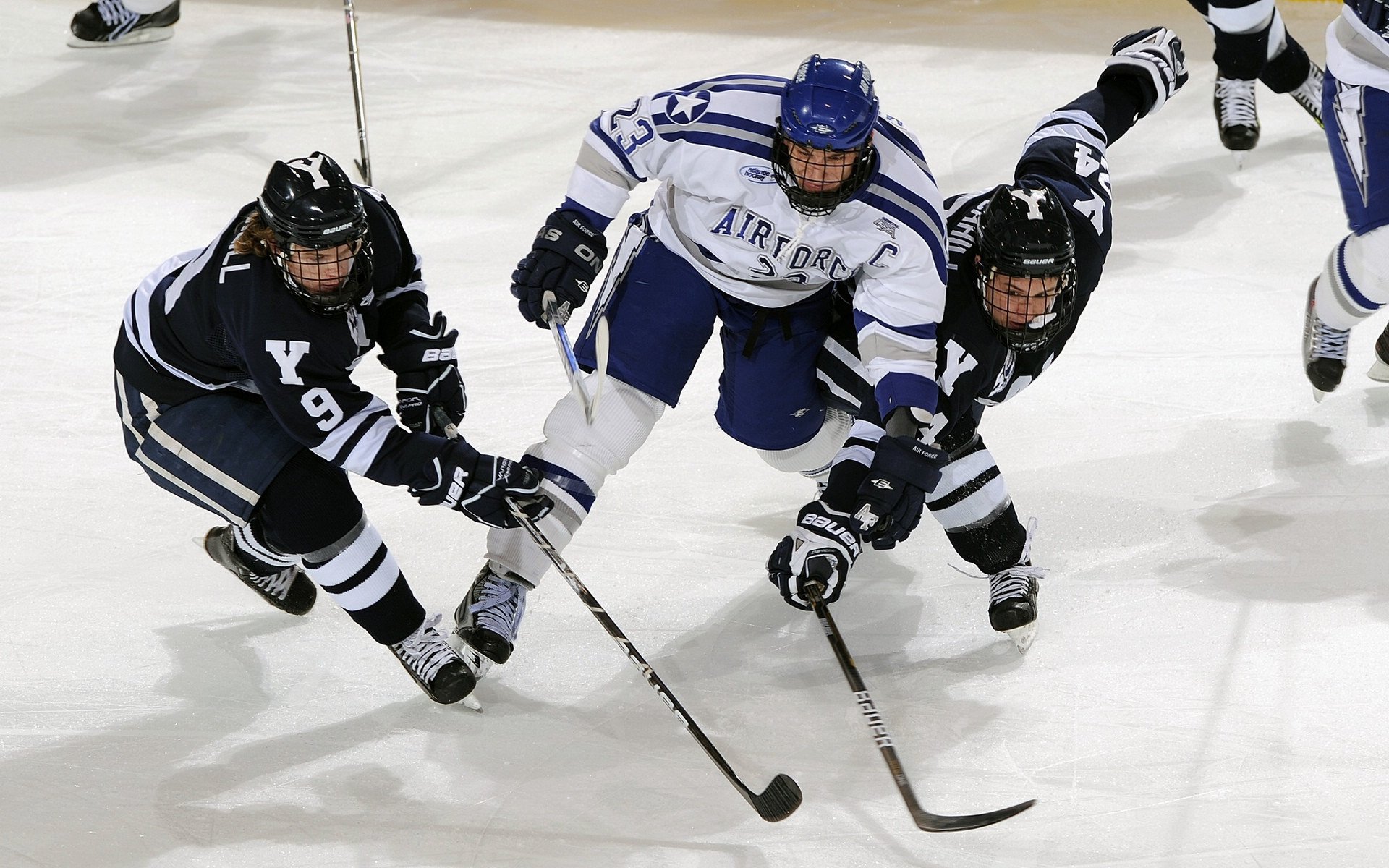 开云体育中国官网-高校篮球扩大国际交流项目提升选手视野，高校篮球发展现状