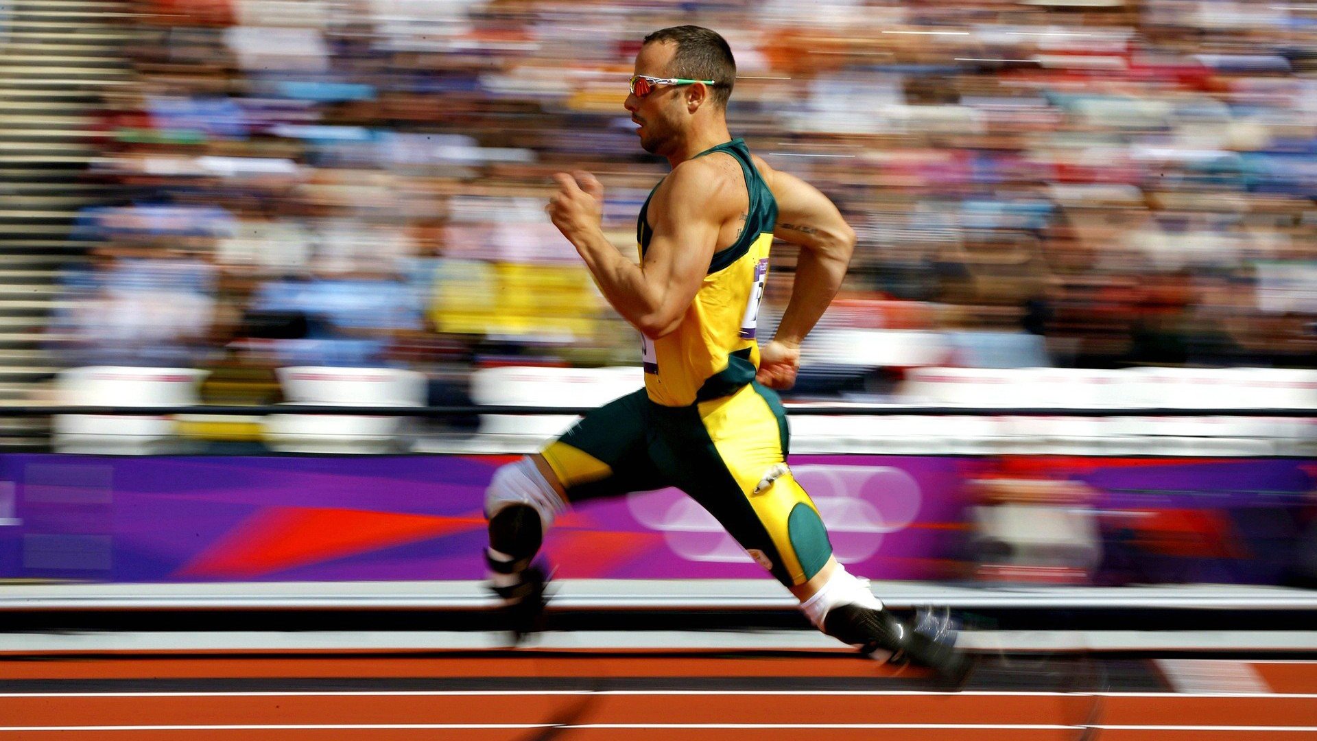 开云真人体育娱乐-美国马术协会与国际马术联合会合作，举办国际马术交流活动，促进技术交流。